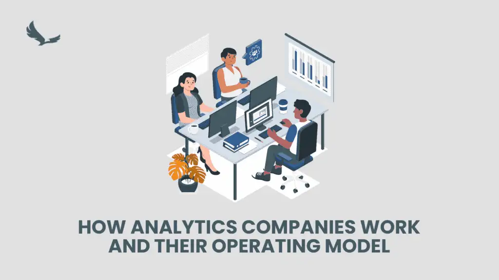 How Analytics Companies Work and Their Operating Model